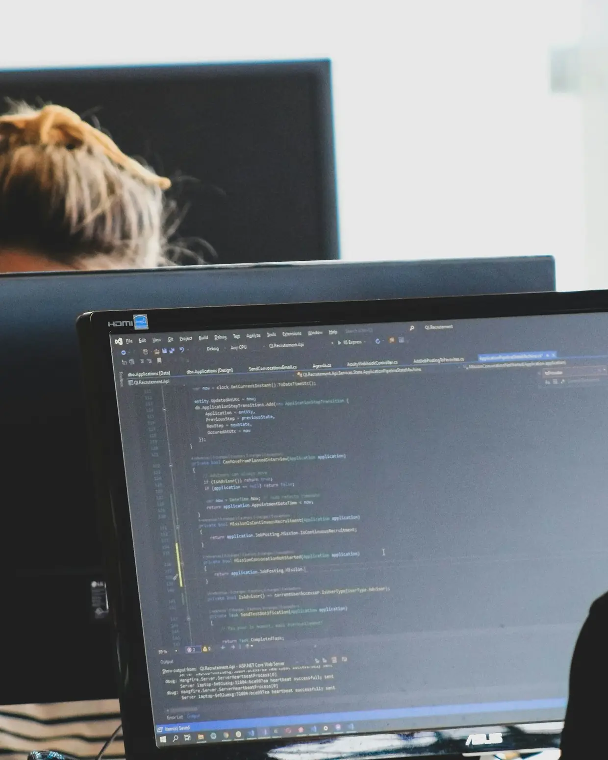 Developer reviewing legacy code